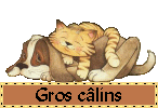 Gif gros câlins chien et chat